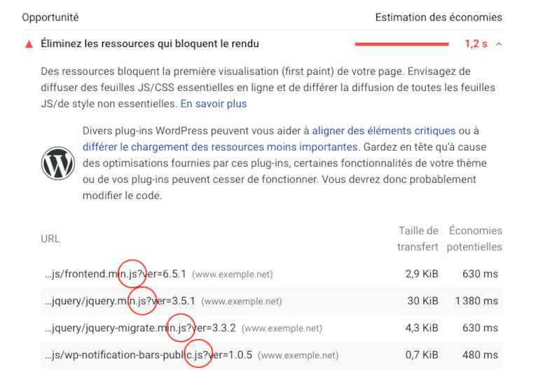 JavaScript Bloquant le Rendu