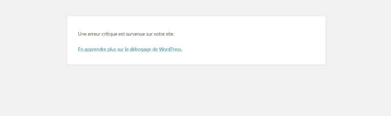 Qu'est-ce que l'Erreur Critique WordPress ?